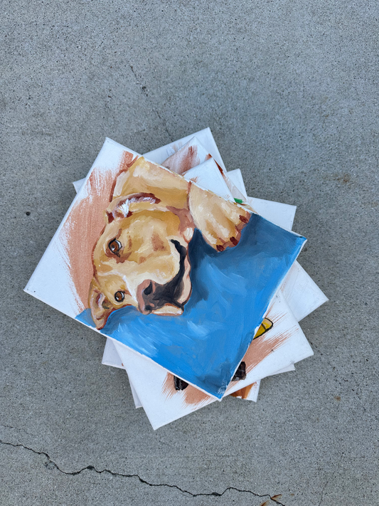 Custom Pet Portrait (Mini)